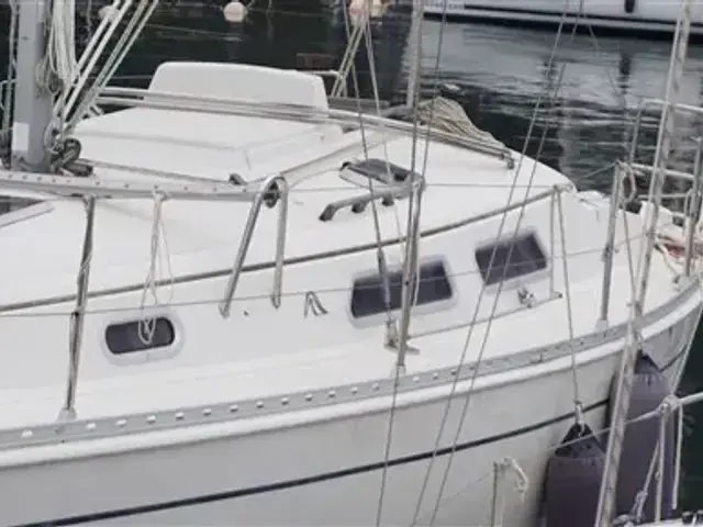 Hanse 311