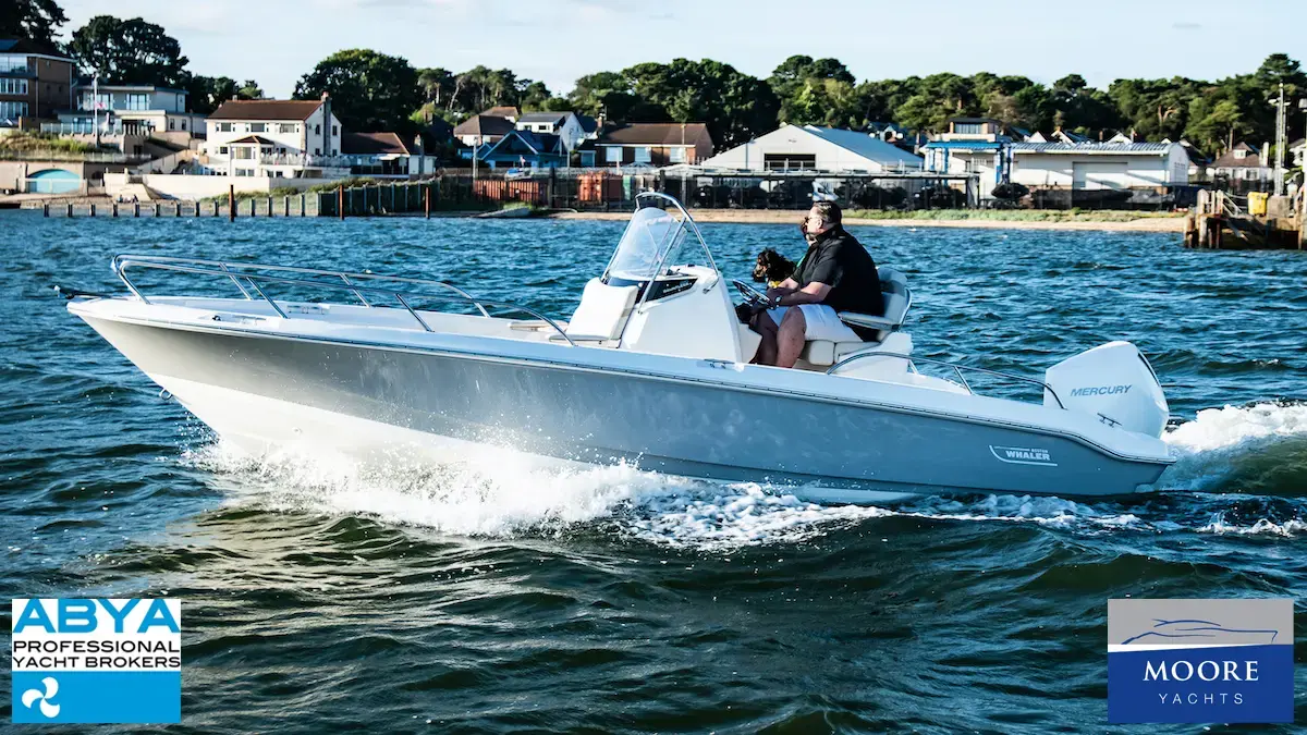 2022 Boston Whaler 220 dauntless