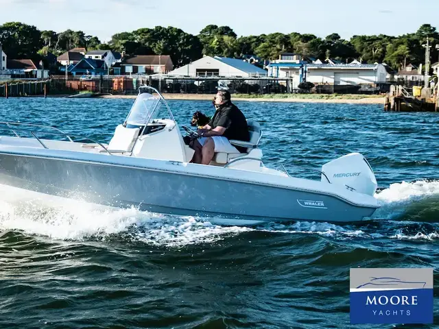 Boston Whaler 220 Dauntless