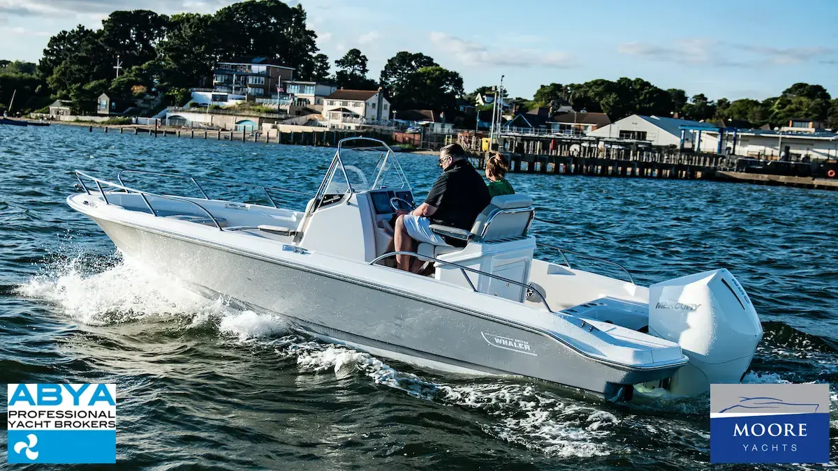 2022 Boston Whaler 220 dauntless