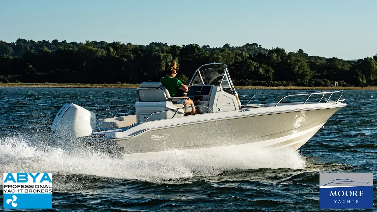 2022 Boston Whaler 220 dauntless