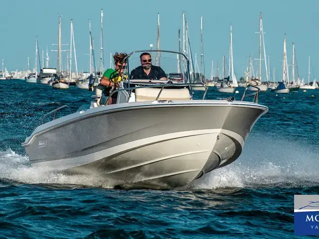 Boston Whaler 220 Dauntless