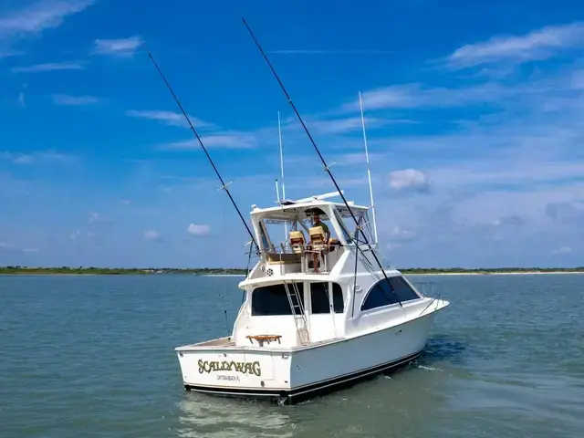 Ocean Yachts 42 Super Sport