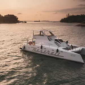 2019 Stealth 47 Powercat