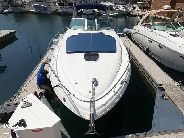 Sea Ray 340