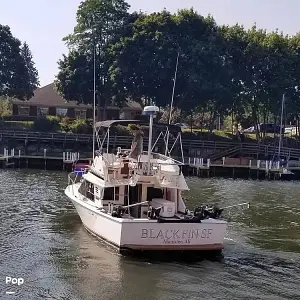 1990 Blackfin Boats 29