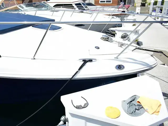 Sea Ray 340