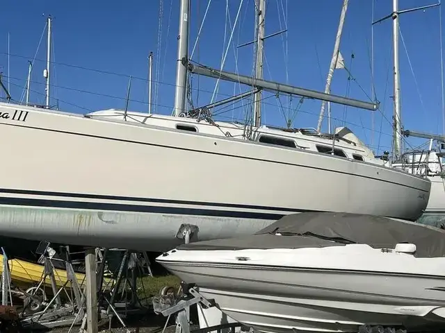 Hanse 342