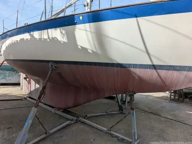 Victoria 30