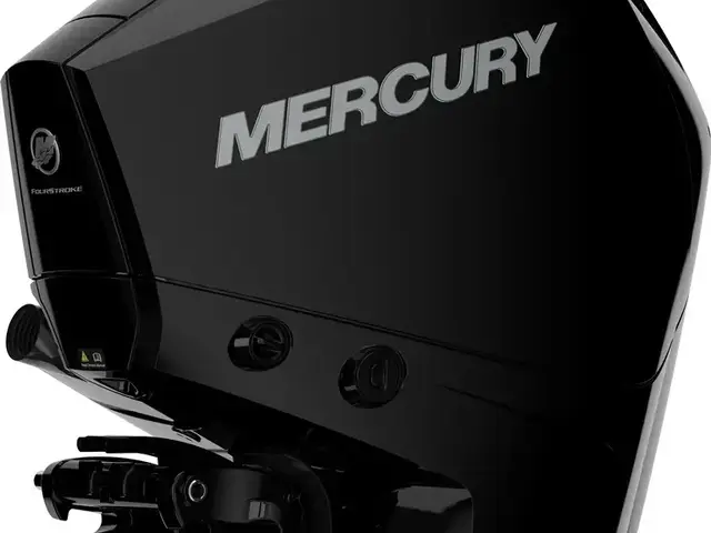 Mercury 225hp V6