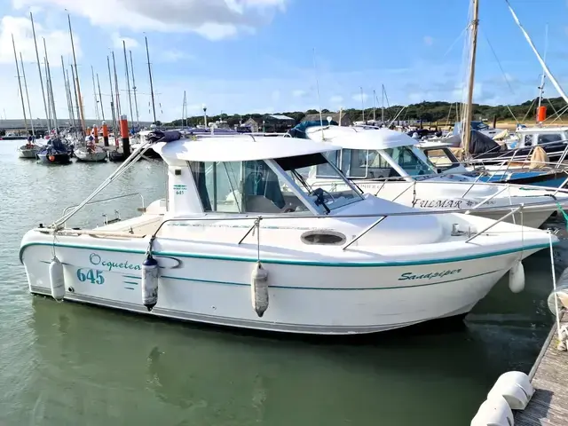 Ocqueteau Boats 645