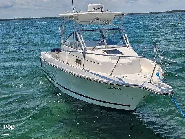 Robalo 2440 WA