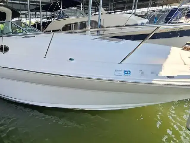 Sea Ray Sundancer 320