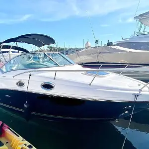 2011 Sea Ray Sundancer 240