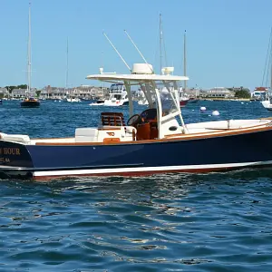 2009 Hinckley T29 C with T-top