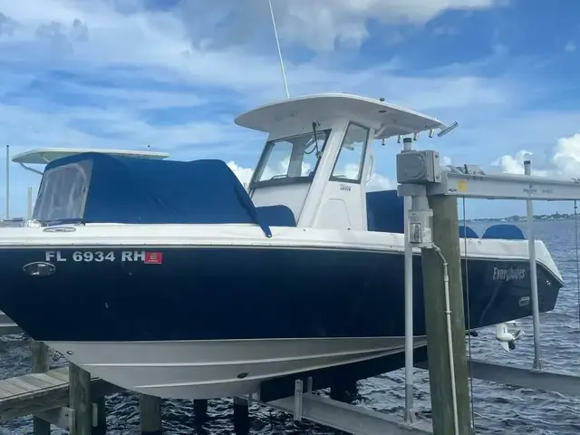 Everglades Boats 255 CC