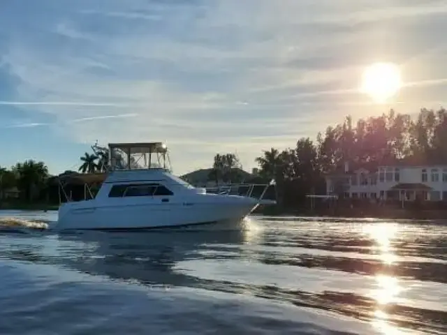 Mainship 31 Sedan Bridge