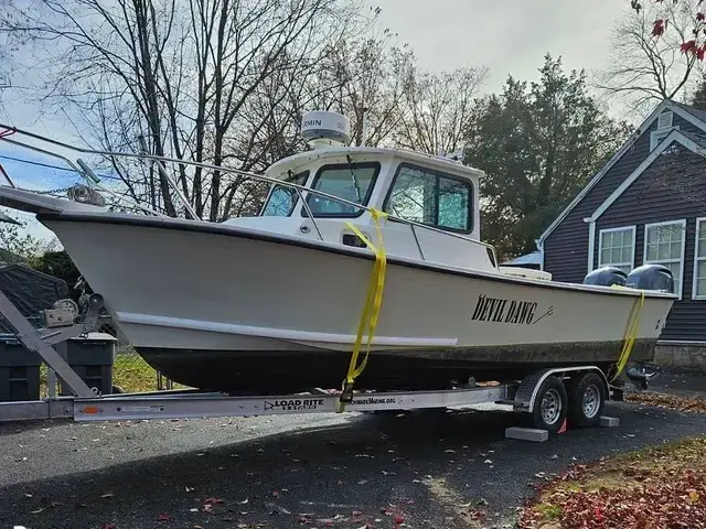 Steiger Craft Chesapeake 25