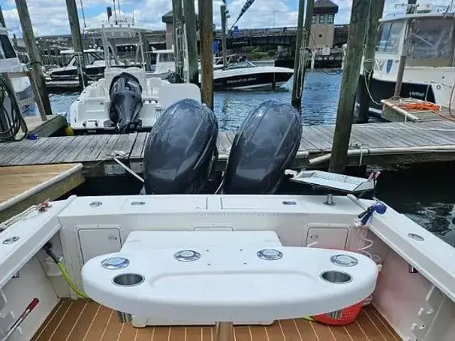 Steiger Craft Chesapeake 25