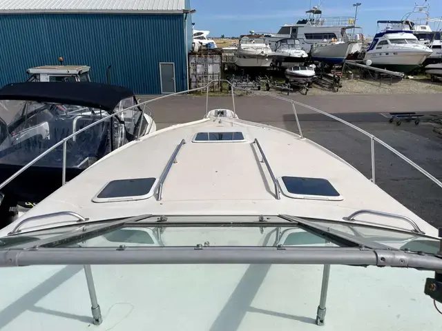 Sea Ray Sundancer 290