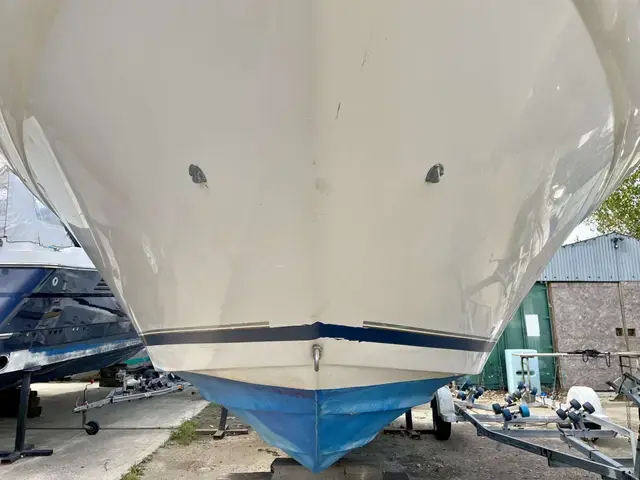 Sea Ray Sundancer 290