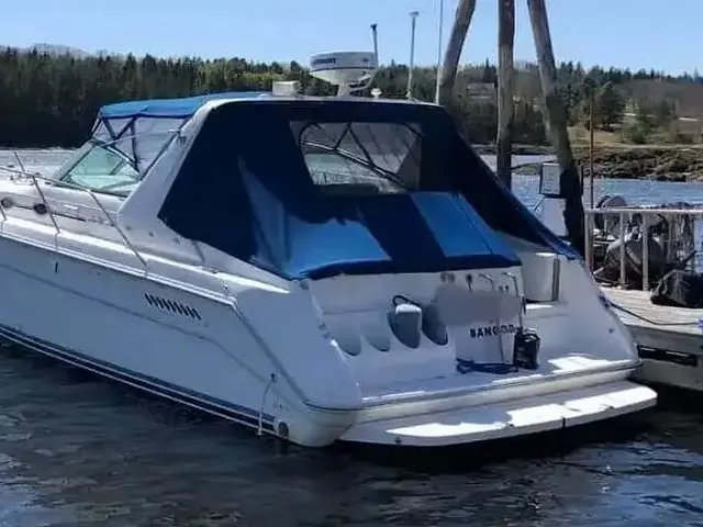 Sea Ray 370 Express Cruiser