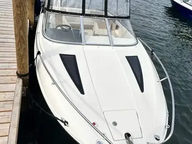 Bayliner 642 Cuddy