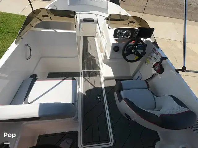 Bayliner M 19