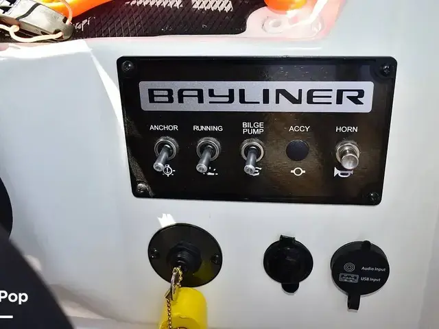 Bayliner M 19