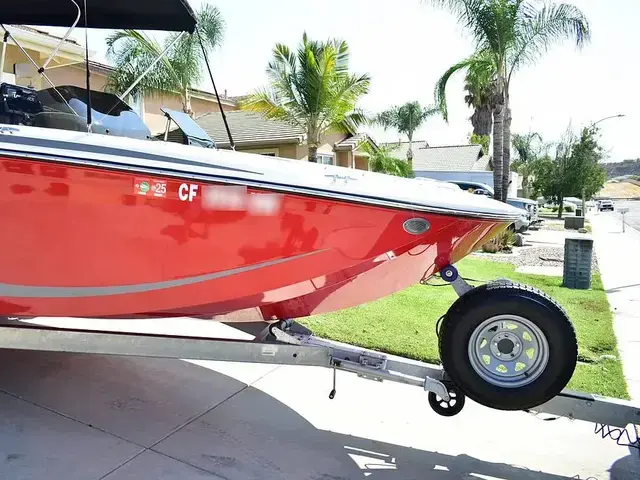 Bayliner M 19