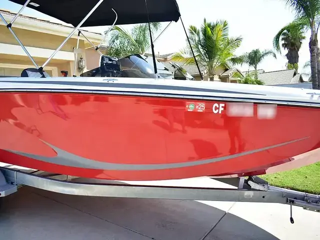 Bayliner M 19