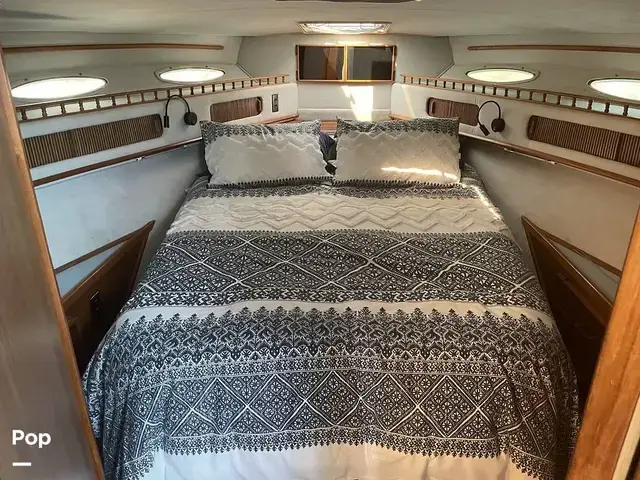 Sea Ray 360 Aft Cabin