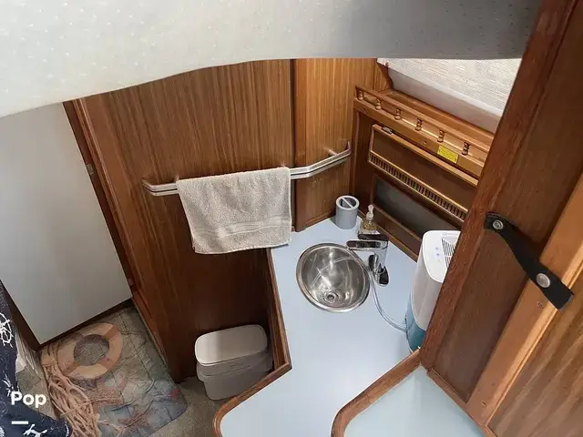 Sea Ray 360 Aft Cabin