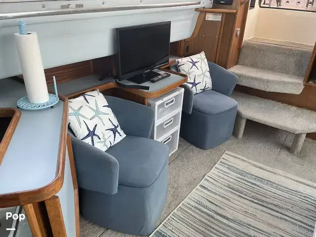 Sea Ray 360 Aft Cabin