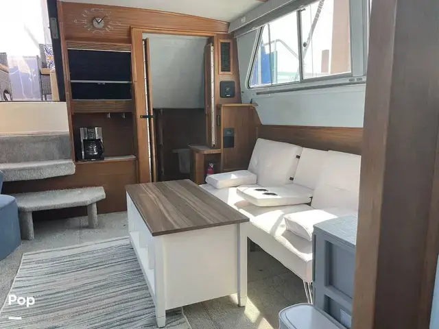 Sea Ray 360 Aft Cabin