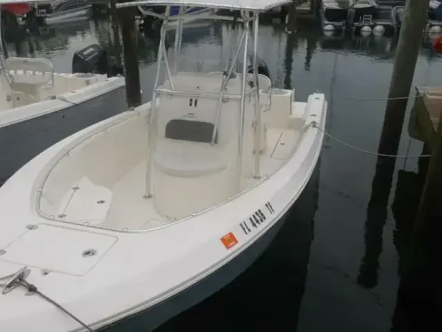 Cobia 240 Cc