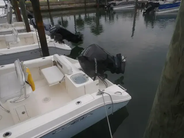 Cobia 240 Cc