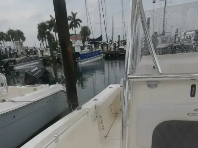 Cobia 240 Cc