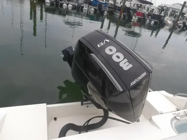 Cobia 240 Cc