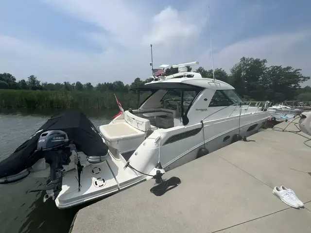 Sea Ray Sundancer 450