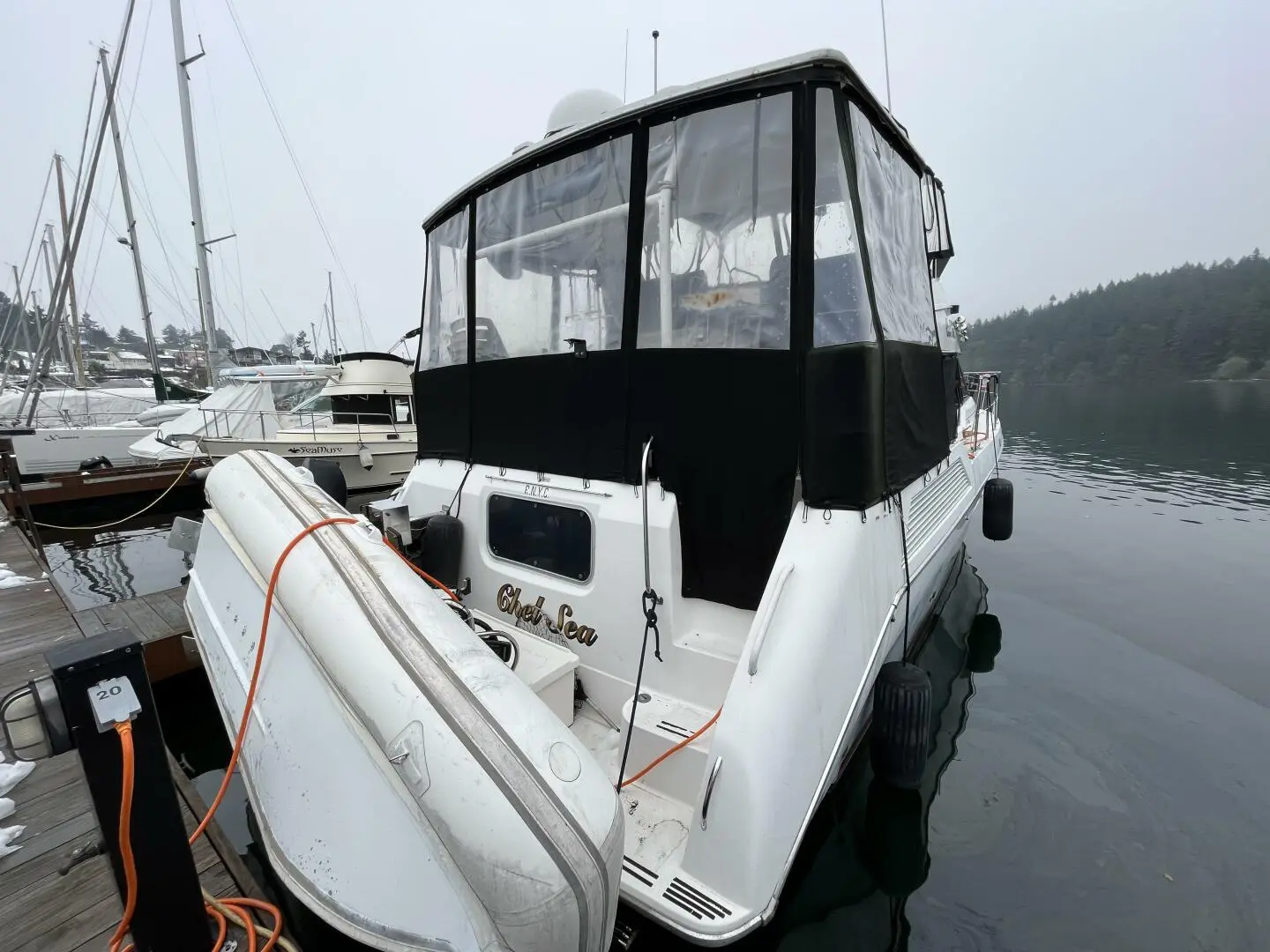 1990 Bayliner 4387 aft cabin