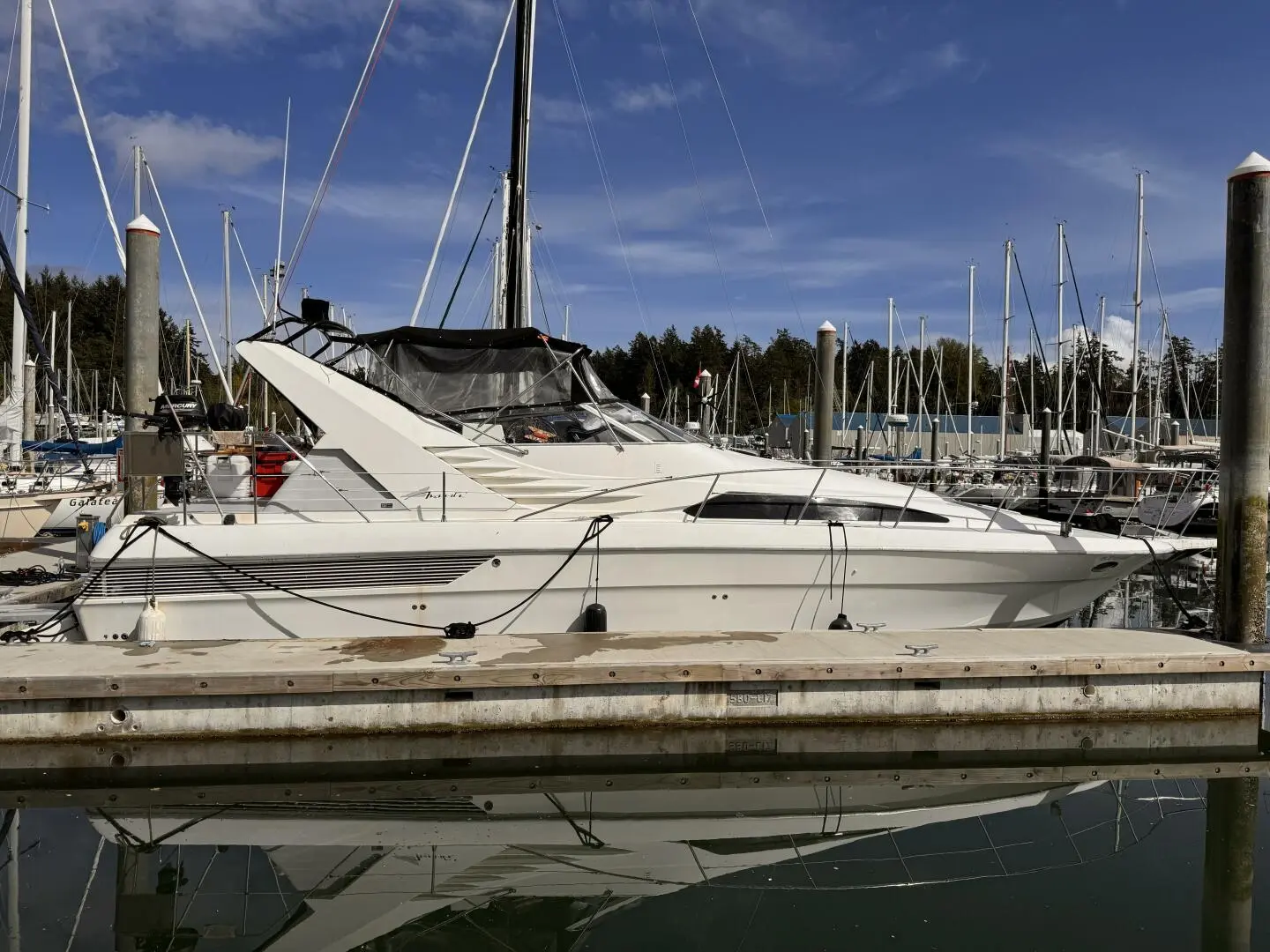 1989 Bayliner 4285 avanti