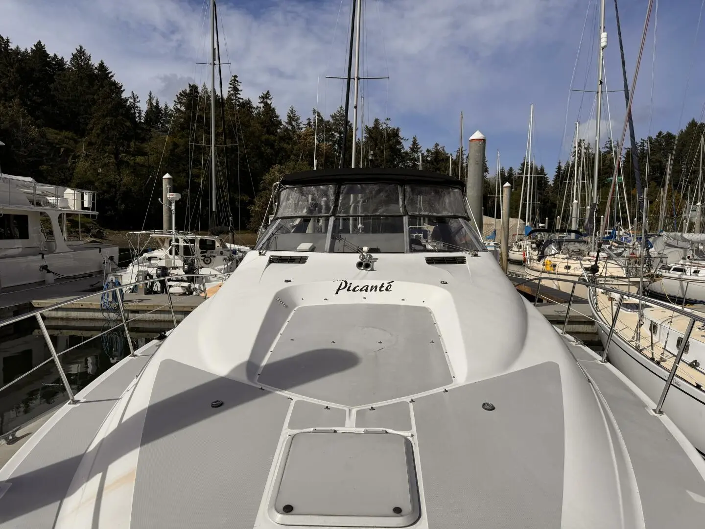 1989 Bayliner 4285 avanti