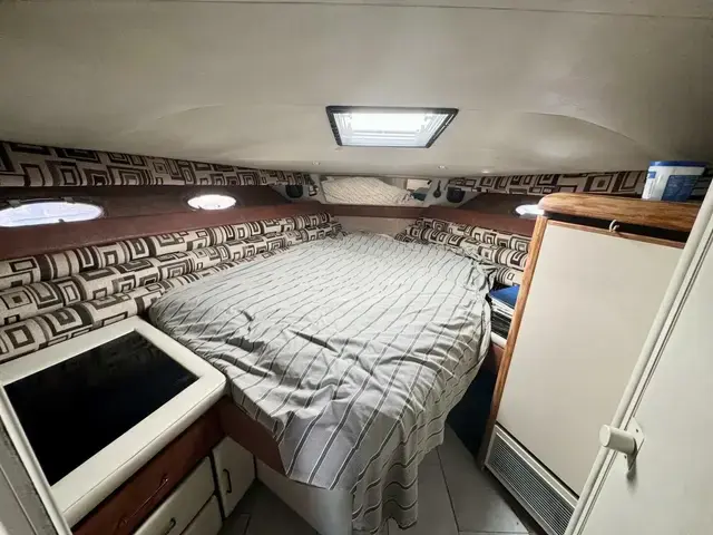 Bayliner 4285 Avanti