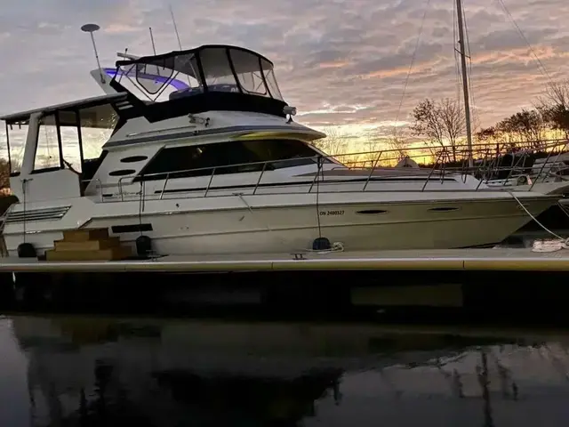 Sea Ray 410 Aft Cabin