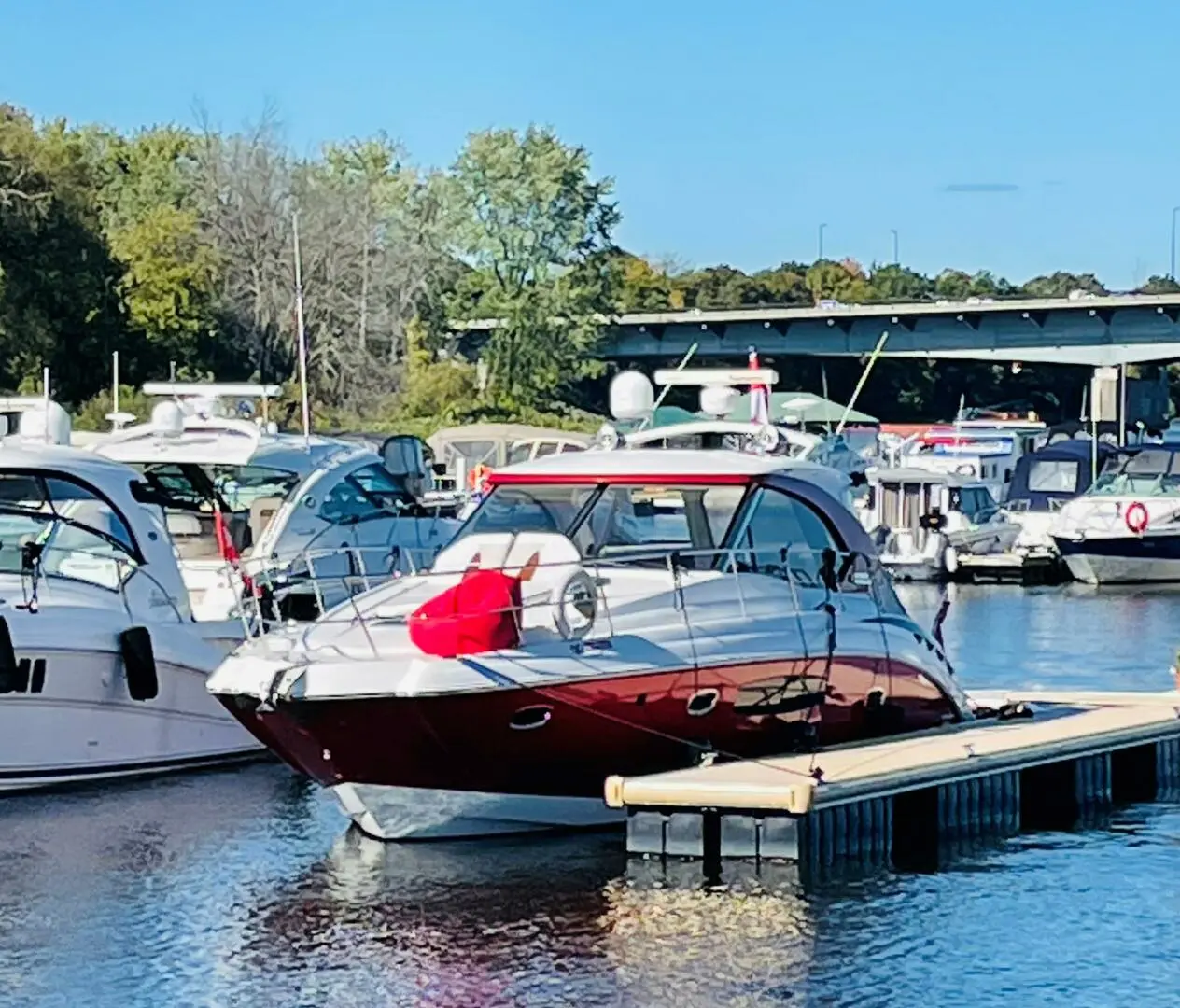 2010 Chaparral 400 premiere