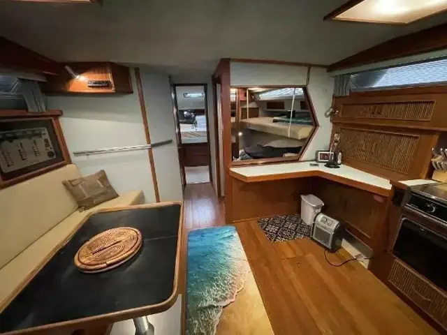 Sea Ray 390 Express Cruiser