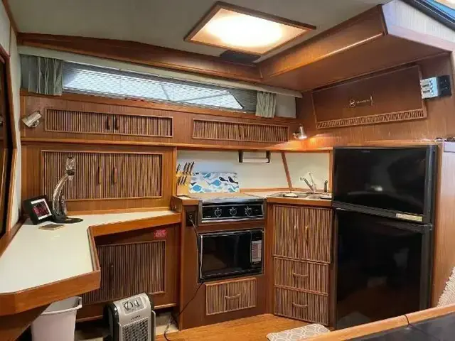 Sea Ray 390 Express Cruiser