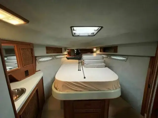 Sea Ray 390 Express Cruiser