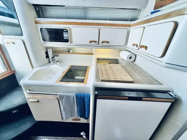 Sea Ray Sundancer 330